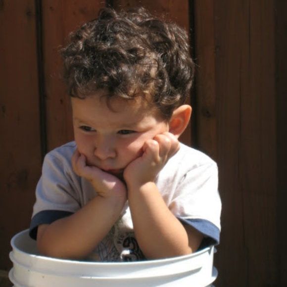 Meet your Posher, Luca - Picture 1 of 1